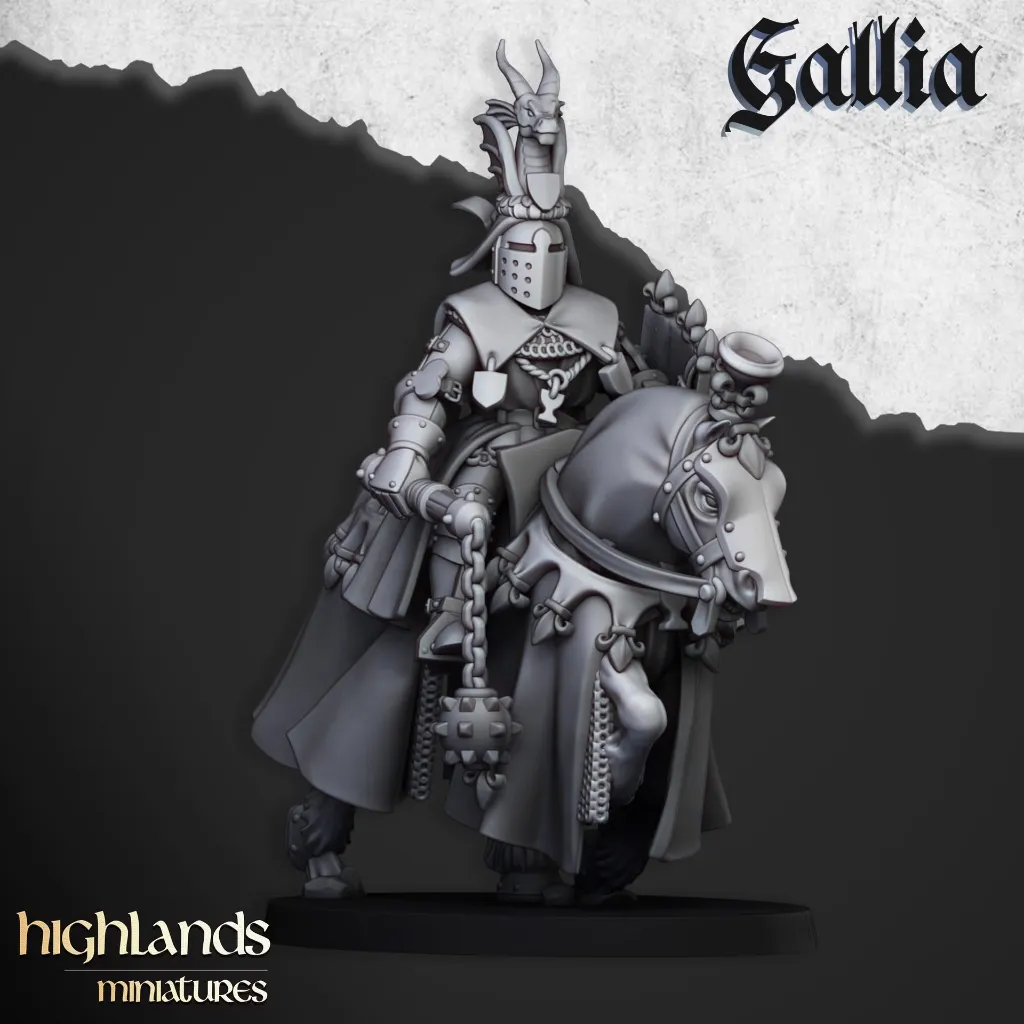 royal-knights-of-gallia-captain.webp