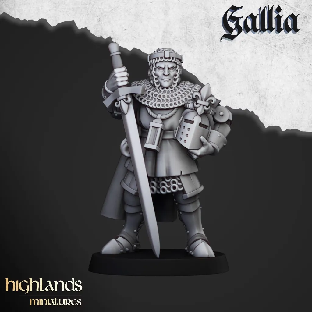 knight-of-gallia-foot-captain.webp