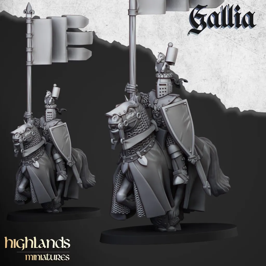 knight-of-gallia-bannerman.webp