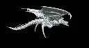 Harridan 3.webp