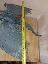 5857206120744076788.webp
