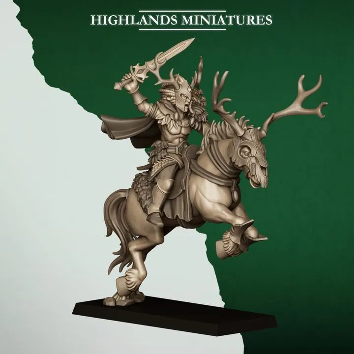 720X720-FOREST_RIDER_CAPTAIN.webp