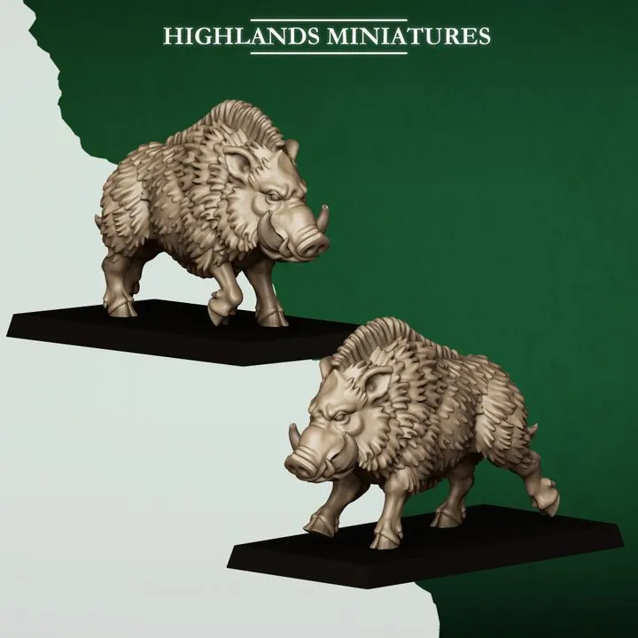 720X720-FERAL_ANIMALS_BOARS.webp