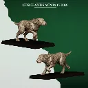 720X720-FERAL_ANIMALS_WARHOUNDS.webp