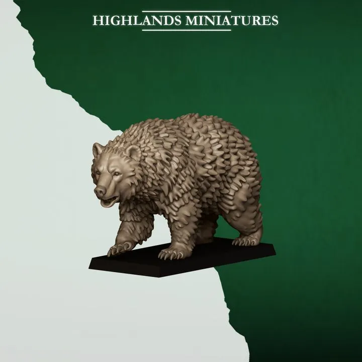 720X720-FERAL_ANIMALS_BEAR.webp