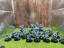 Battlehost Iron Hills