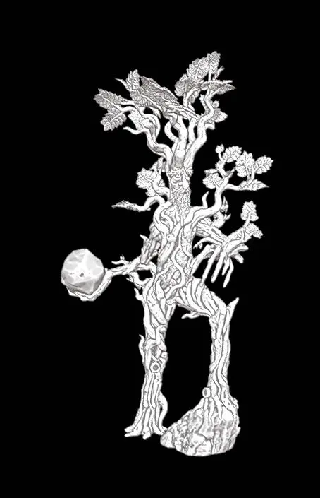 Ent 7