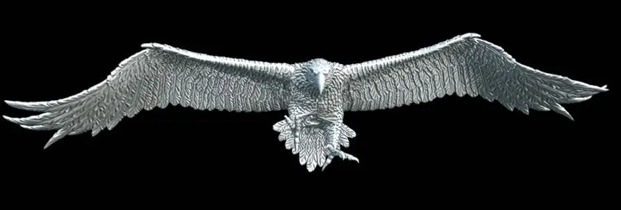 Aigle 1 (offi)