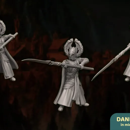 Garde élite foot lance