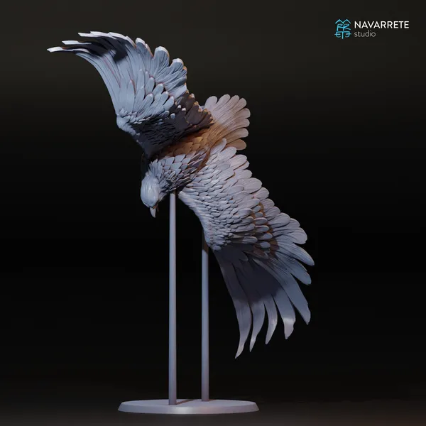 Aigle 5