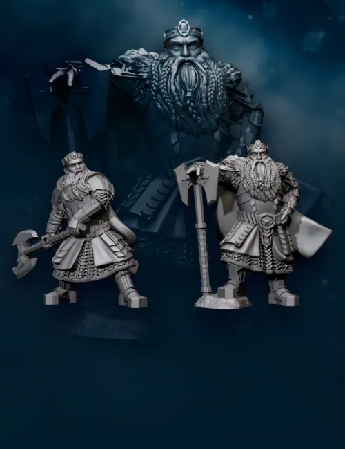 Roi 5