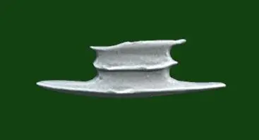 Bouclier goblin 2 (version plastic)