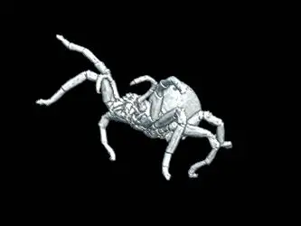 Arachne